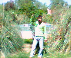 tjrs